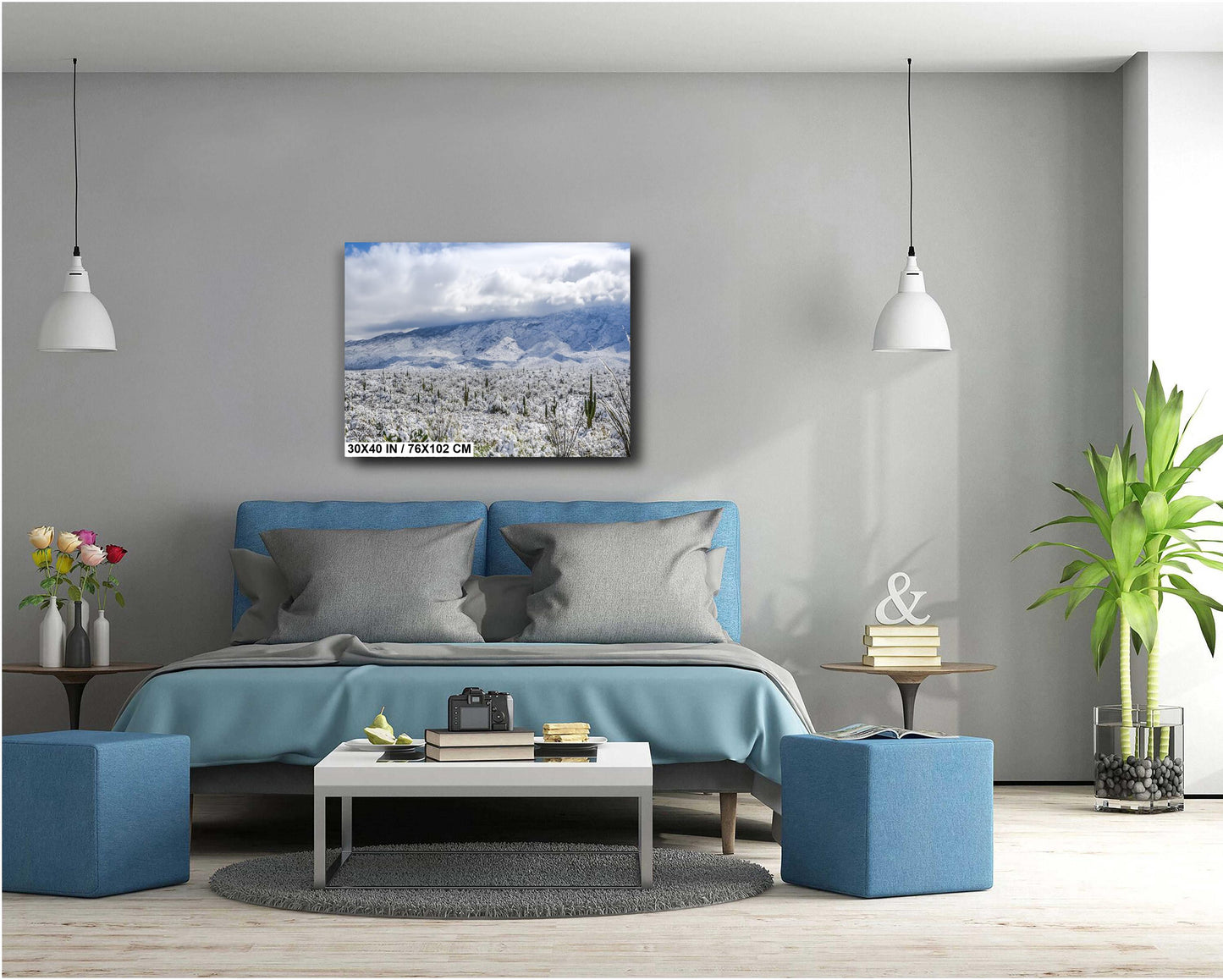 Winter’s Touch on the Desert Landscape: Saguaro National Park Print Wall Art Tucson Winter Snow Photography Aluminum/Acrylic/Metal/Canvas