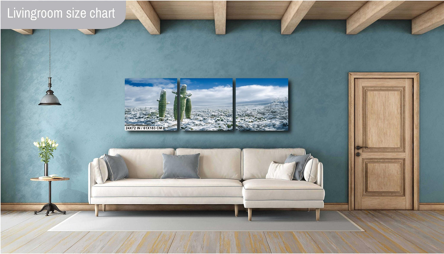 Cactus Kids Playing In The Desert Snow: Snow-Capped Saguaro National Park Tucson Arizona Print Wall Art Photography Acrylic/Metal/Canvas