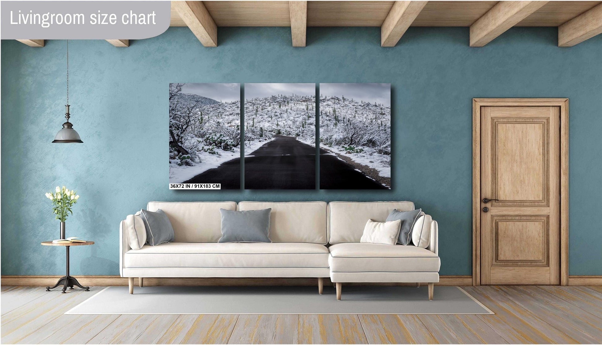 Snow-covered desert road in Saguaro National Park, Arizona, with snowy saguaro cacti lining the path.