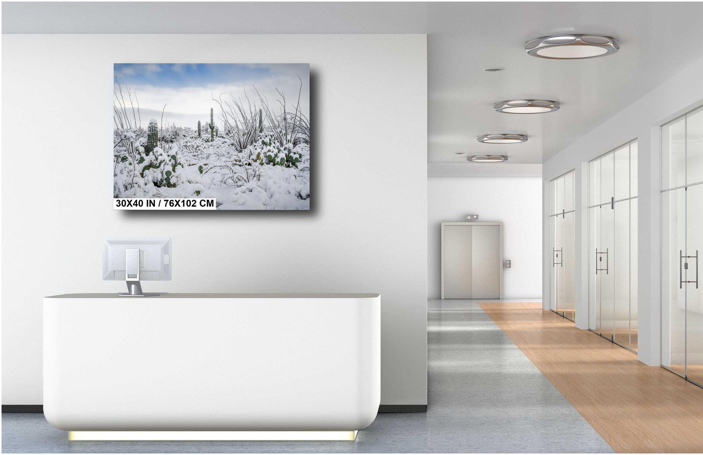 Snow-Tipped Peaks and Cactus Heights: Snow in Saguaro National Park Tucson Arizona Print Wall Art Photography Aluminum/Acrylic/Metal/Canvas