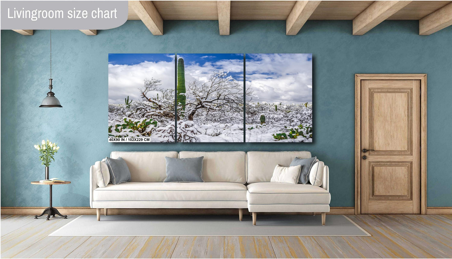 Saguaro Standing Tall in Winter’s Embrace: Saguaro National Park Print Wall Art Tucson Snow Desert Photography Aluminum/Acrylic/Metal/Canvas