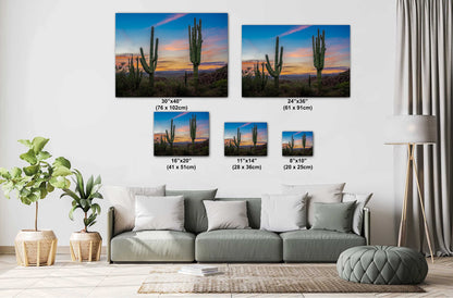 Gold Canyon Wonder: Saguaro Cactus Arizona Wall Art Metal Canvas Print  Desert Landscape Photography