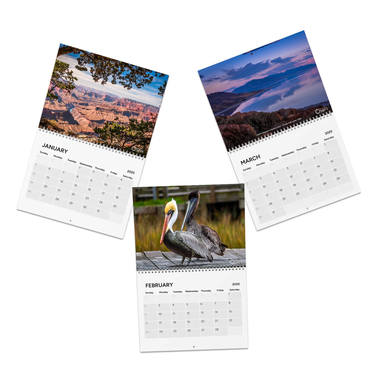 Images By Cheri - 2025 Calendar | Monthly Nature and Wildlife Photography