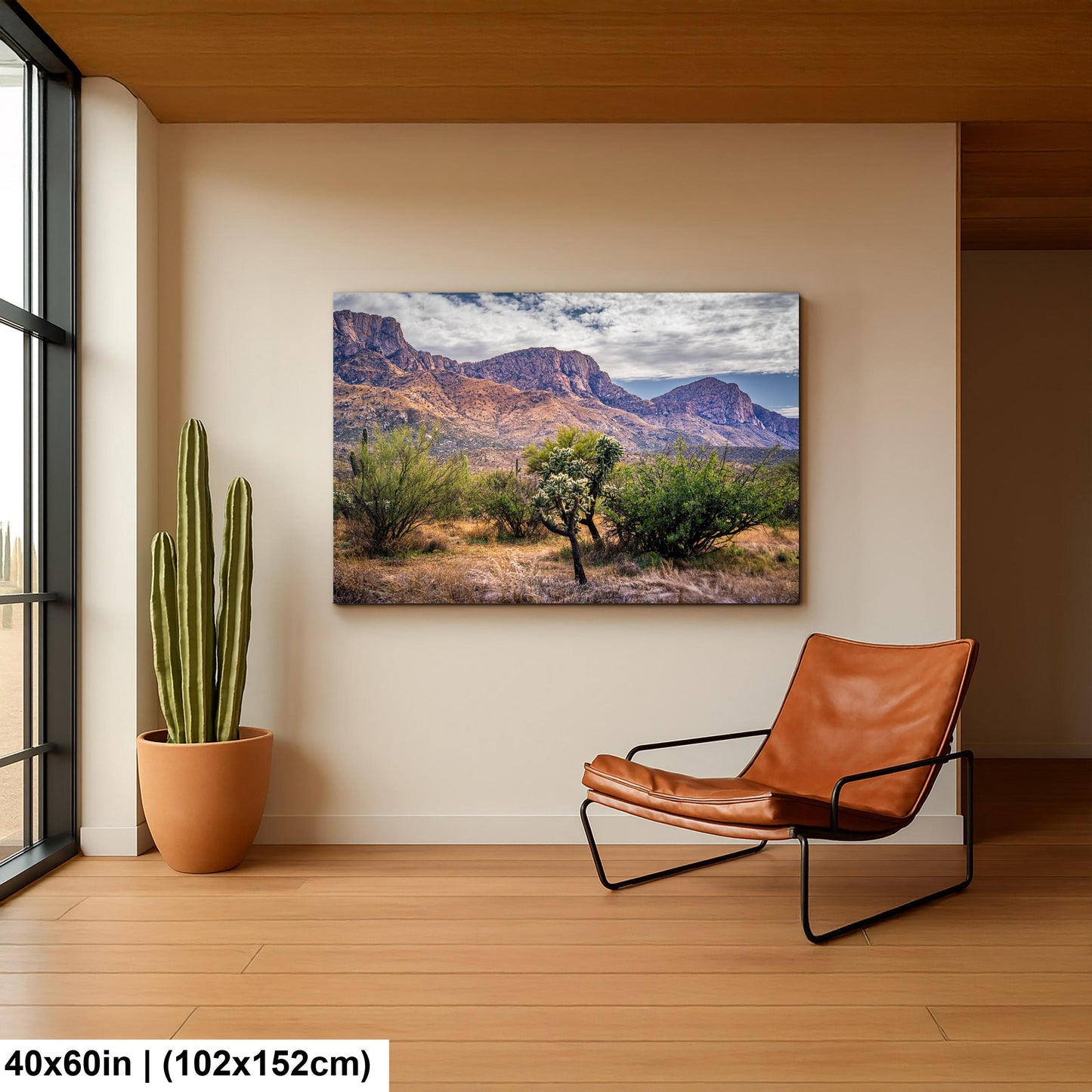 Arizona Desert Wall Art - Catalina Mountains Print | Sonoran Desert Landscape Photography