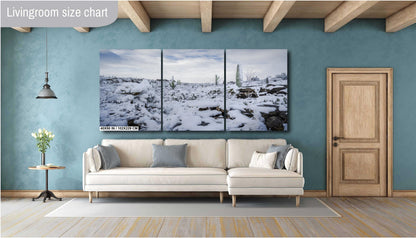 Cacti in the Cold: Snowfall at Saguaro National Park Park Print Wall Art Tucson Winter Snow Desert Photography Aluminum/Acrylic/Metal/Canvas