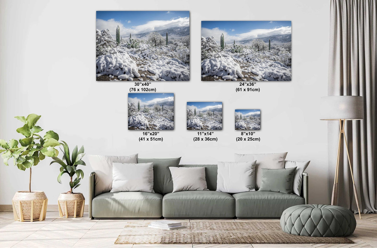 Winter Cloak Over the Saguaro National Park Print Wall Art Tucson Winter Snow Desert Photography Aluminum/Acrylic/Metal/Canvas Home Decor