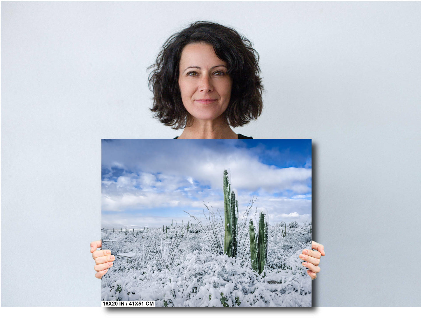 The White Desert: Snowfall in Saguaro National Park Tucson Arizona Print Wall Art Photography Aluminum/Acrylic/Metal/Canvas