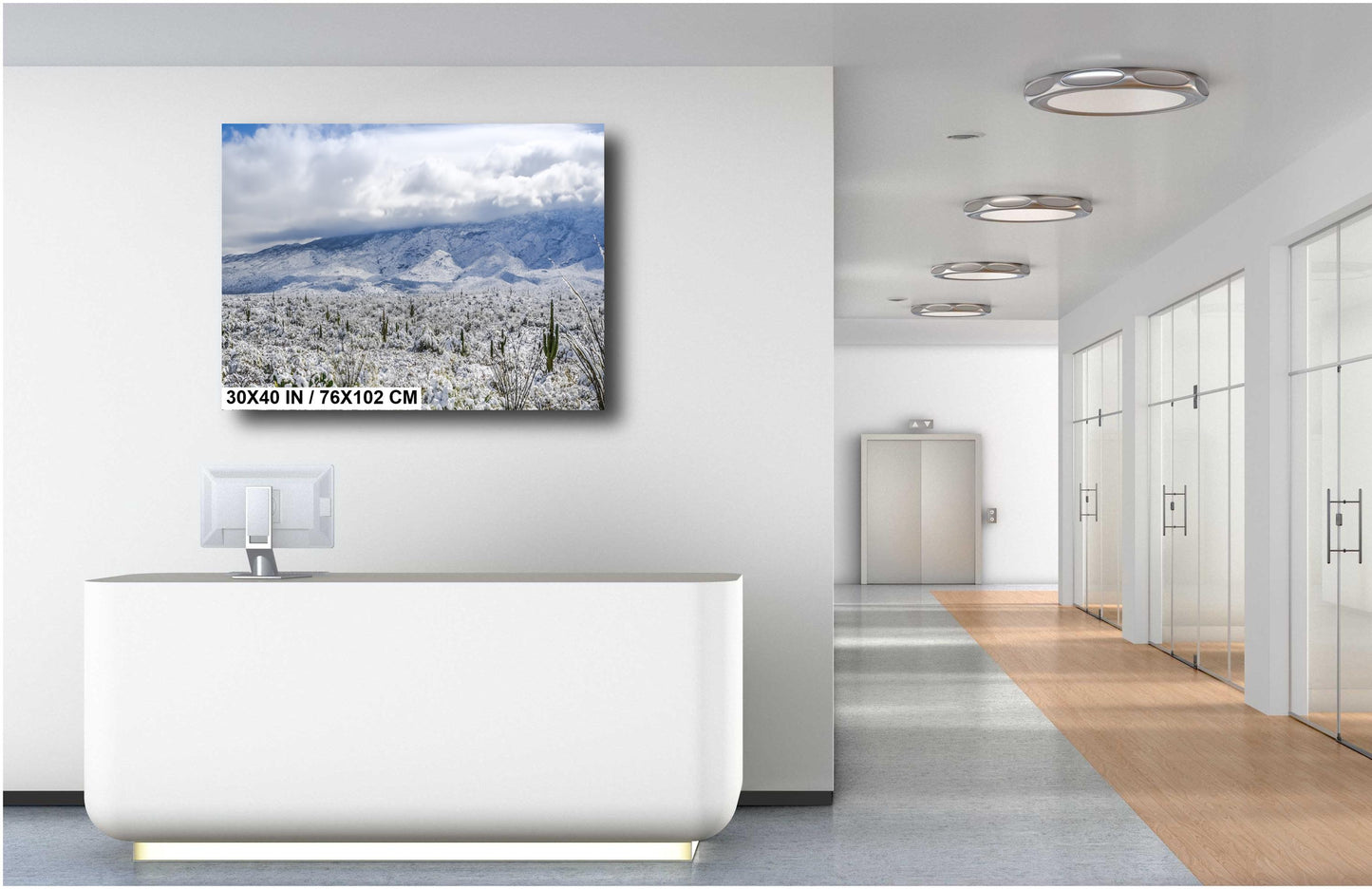 Winter’s Touch on the Desert Landscape: Saguaro National Park Print Wall Art Tucson Winter Snow Photography Aluminum/Acrylic/Metal/Canvas