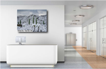 A Frosty Transformation in Saguaro National Park Print Wall Art Tucson Winter Snow Desert Photography Aluminum/Acrylic/Metal/Canvas