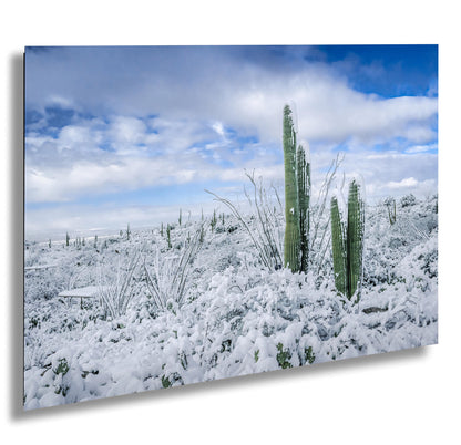 The White Desert: Snowfall in Saguaro National Park Tucson Arizona Print Wall Art Photography Aluminum/Acrylic/Metal/Canvas