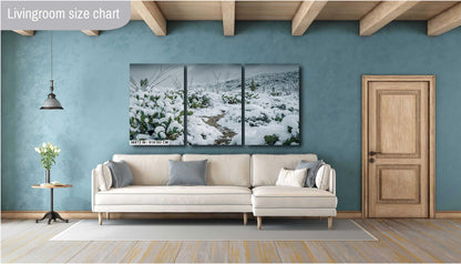 Hiking Trail Through The Snowy Cactus: Saguaro National Park Tucson Arizona Print Wall Art Photography Aluminum/Acrylic/Metal/Canvas