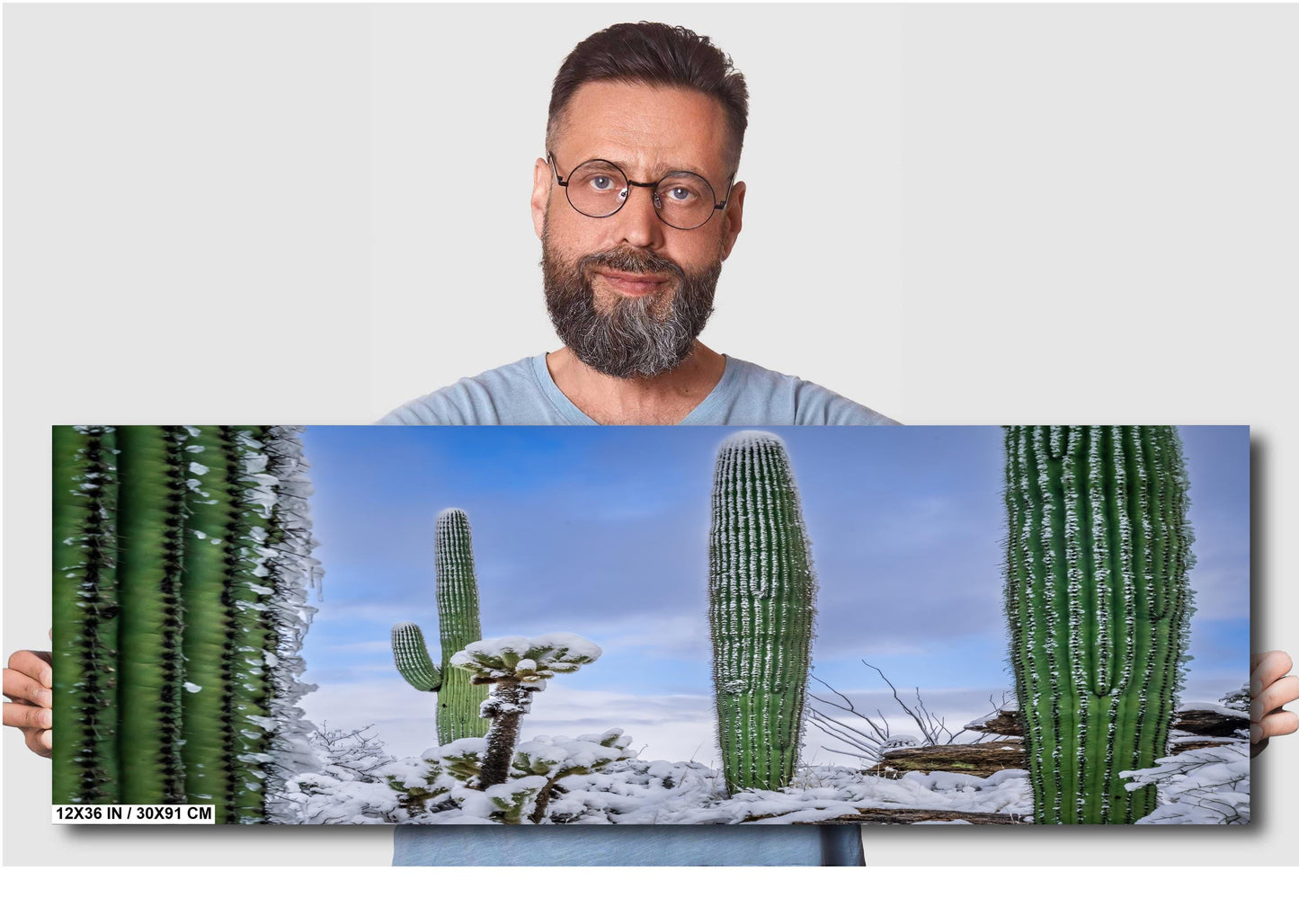 Snow-Draped Tall Cactus: Saguaro National Park Tucson Arizona Print Wall Art Photography Aluminum/Acrylic/Metal/Canvas