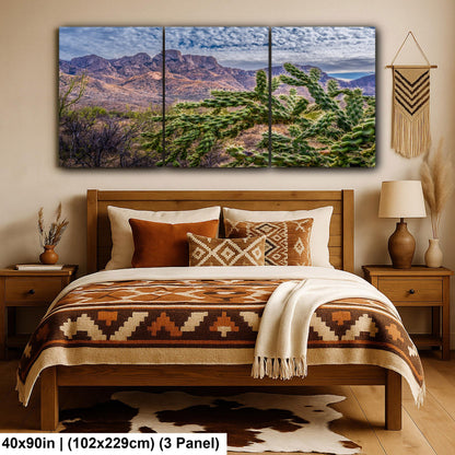 Cholla Cactus in Catalina State Park, Arizona, Photography Print, Sonoran Desert Mountain Landscape Wall Art