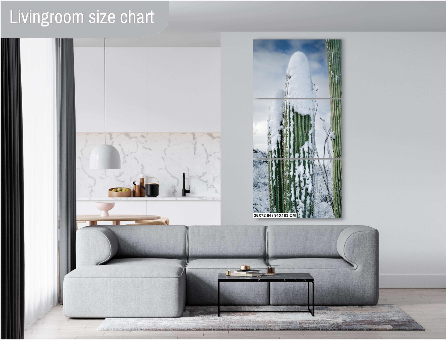 Winter’s Cactus Crown: Saguaro National Park Tucson Arizona Winter Scene Wall Art Print Snow Photography Aluminum/Acrylic/Metal/Canvas