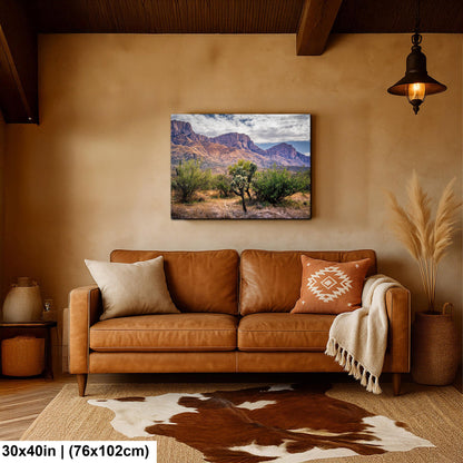 Arizona Desert Wall Art - Catalina Mountains Print | Sonoran Desert Landscape Photography