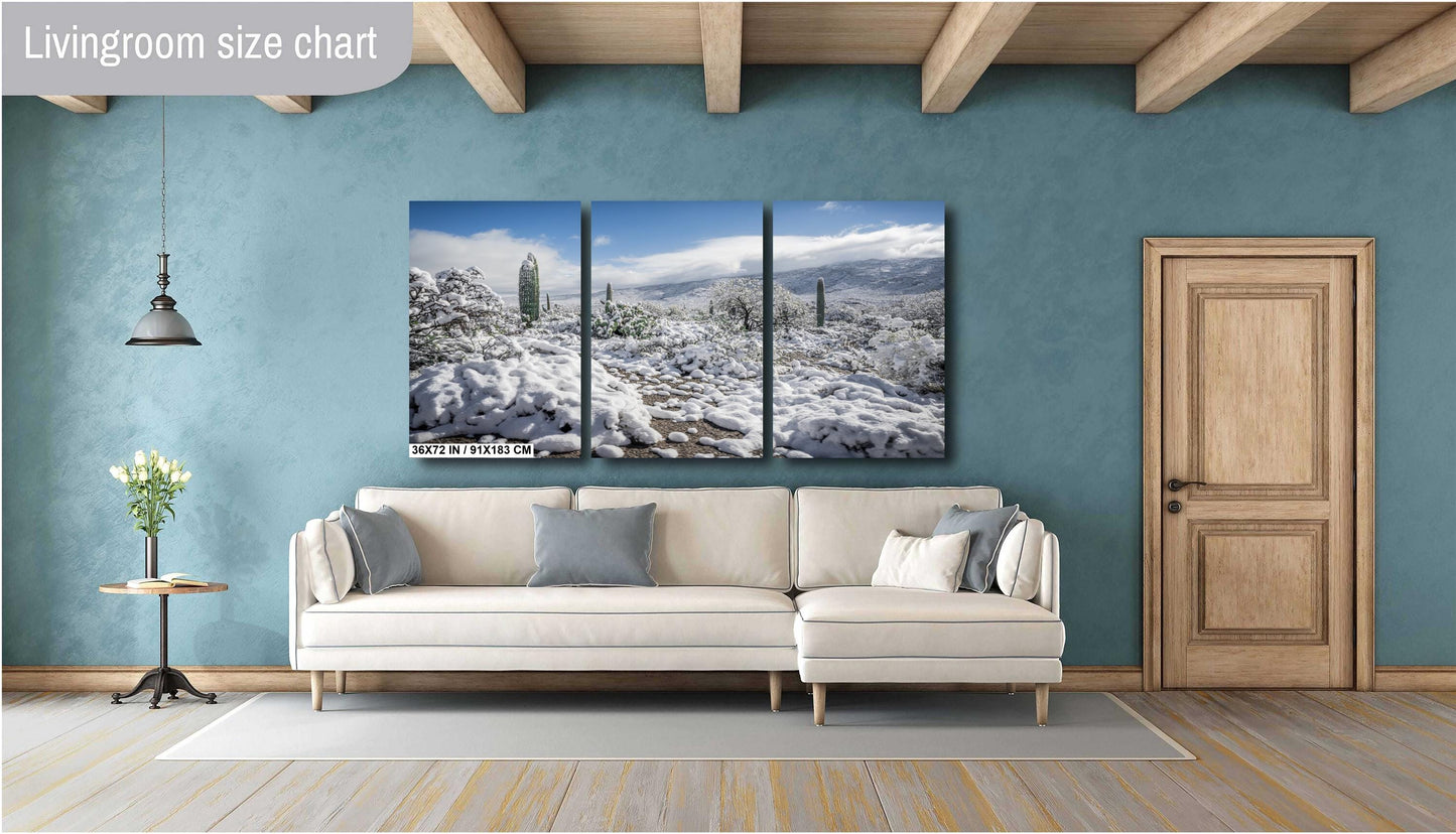 Winter Cloak Over the Saguaro National Park Print Wall Art Tucson Winter Snow Desert Photography Aluminum/Acrylic/Metal/Canvas Home Decor