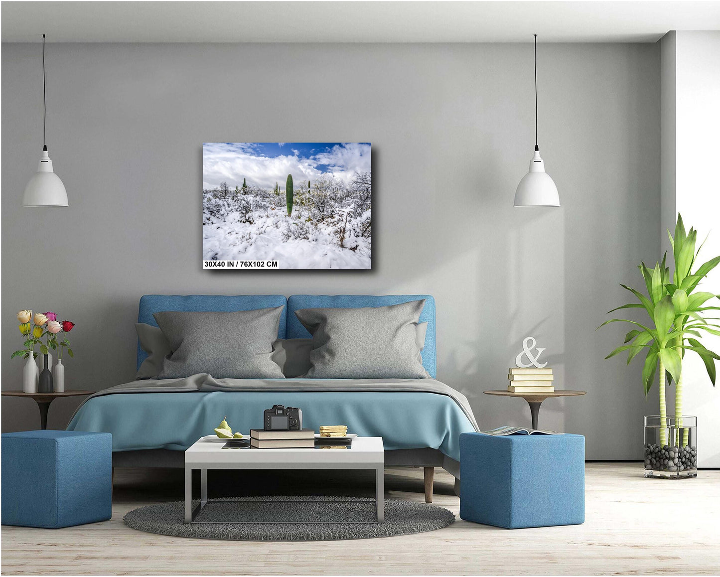 Winter’s Charm in the Desert: Saguaro National Park Print Wall Art Tucson Winter Snow Desert Photography Aluminum/Acrylic/Metal/Canvas