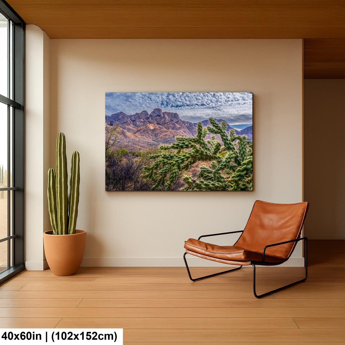 Cholla Cactus in Catalina State Park, Arizona, Photography Print, Sonoran Desert Mountain Landscape Wall Art