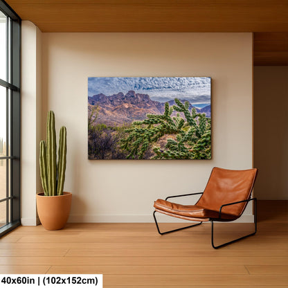 Cholla Cactus in Catalina State Park, Arizona, Photography Print, Sonoran Desert Mountain Landscape Wall Art