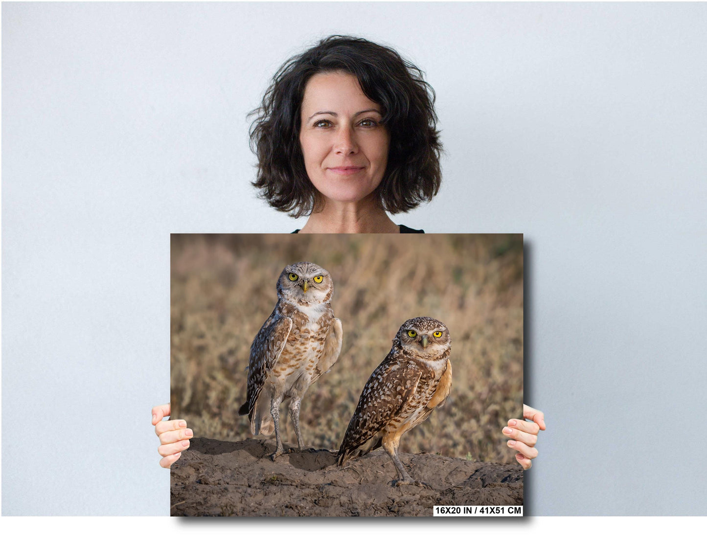 Burrowing Owls Pair Badlands National Park South Dakota Wildlife Photo Print, Nature Wall Art Decor Bird Wildlife Photography Metal Canvas