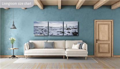 Cacti in the Cold: Snowfall at Saguaro National Park Park Print Wall Art Tucson Winter Snow Desert Photography Aluminum/Acrylic/Metal/Canvas