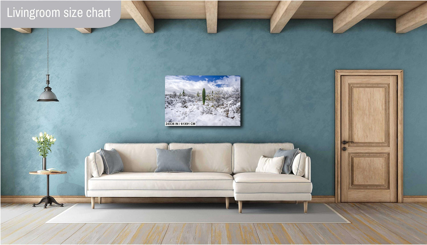 Winter’s Charm in the Desert: Saguaro National Park Print Wall Art Tucson Winter Snow Desert Photography Aluminum/Acrylic/Metal/Canvas