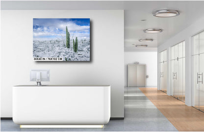 The White Desert: Snowfall in Saguaro National Park Tucson Arizona Print Wall Art Photography Aluminum/Acrylic/Metal/Canvas