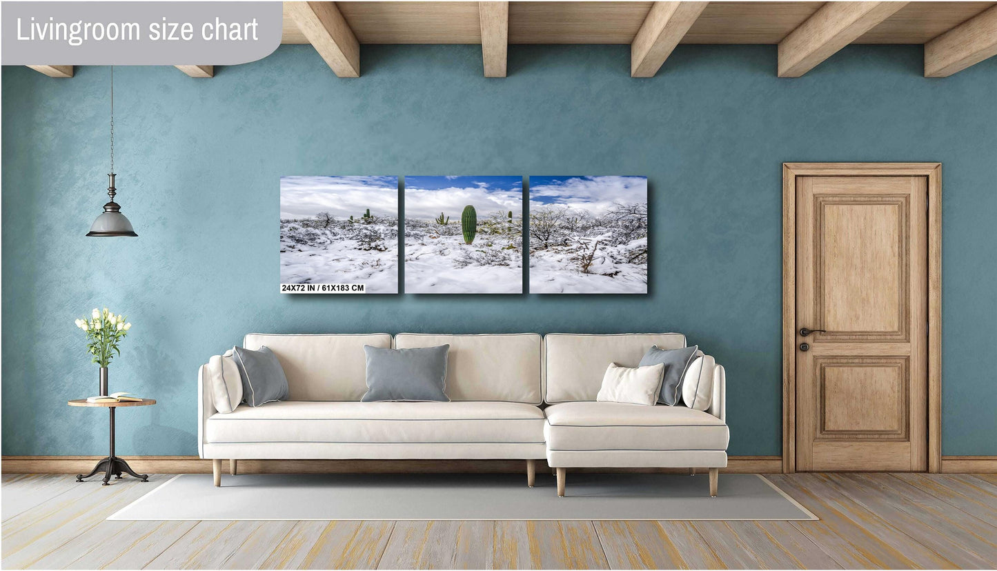 Winter’s Charm in the Desert: Saguaro National Park Print Wall Art Tucson Winter Snow Desert Photography Aluminum/Acrylic/Metal/Canvas