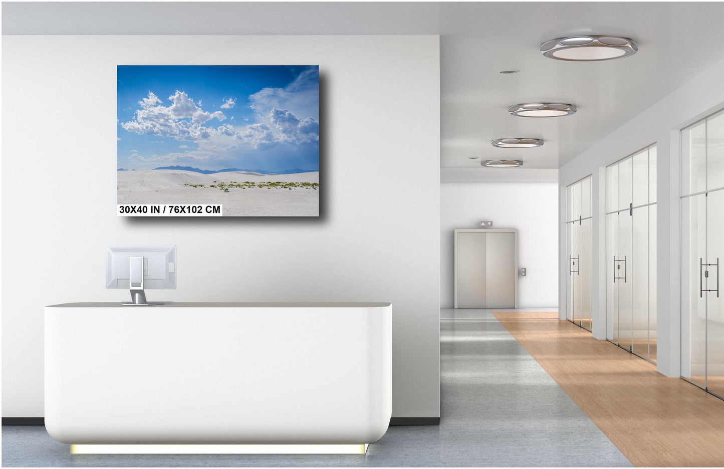 White Sands Serenity: Grass in the Shadows of White Sands National Park Wall Art Print Alamogordo, New Mexico Aluminum/Acrylic/Metal/Canvas