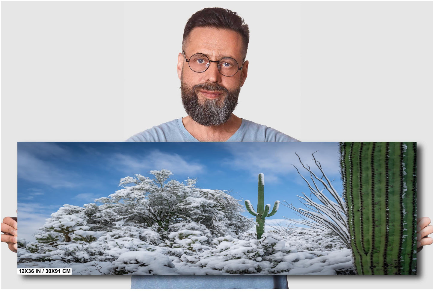 Dreaming of a White Desert Christmas: Saguaro National Park in Snow Tucson Arizona Print Wall Art Photography Aluminum/Acrylic/Metal/Canvas