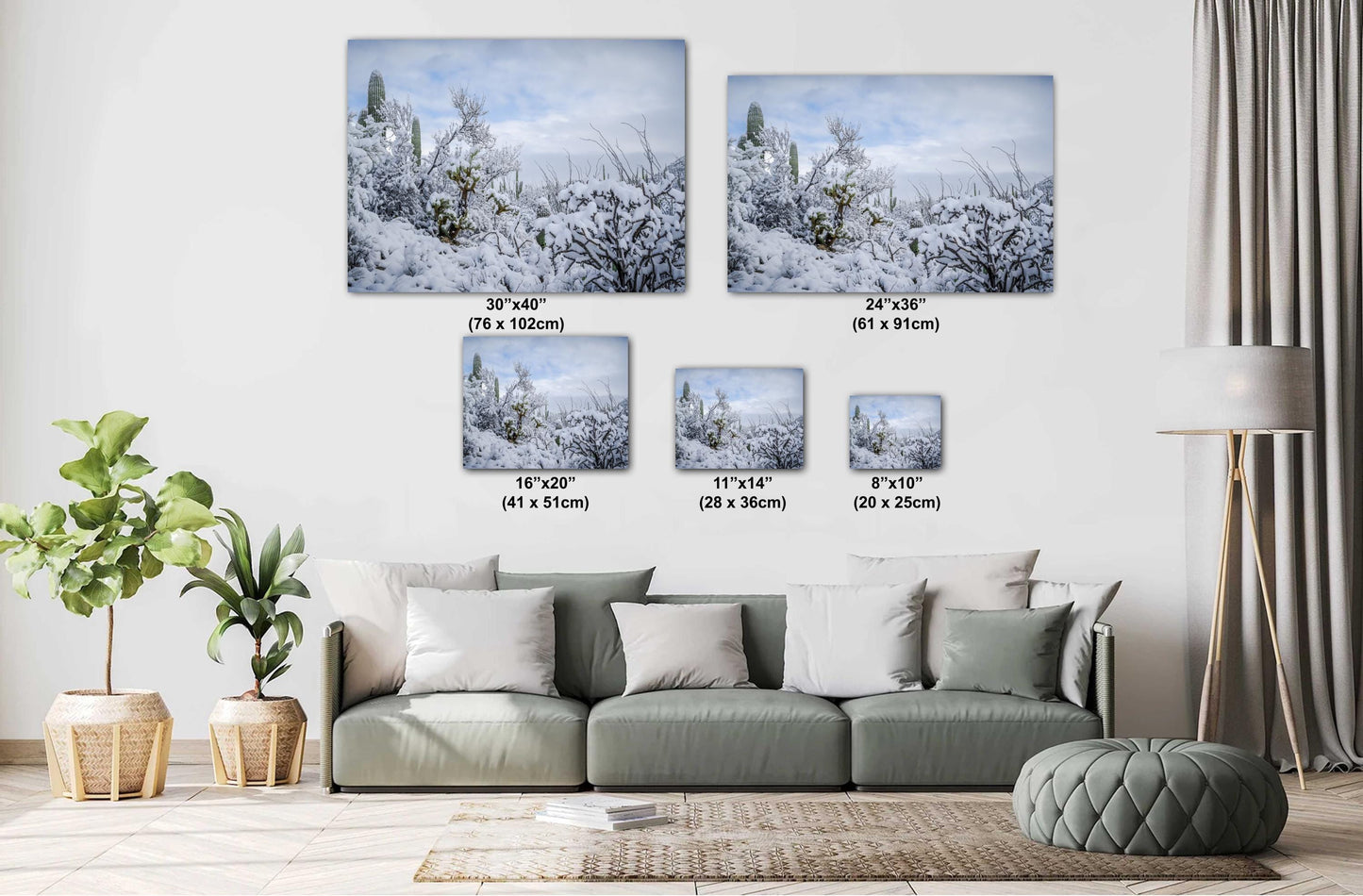 Desert’s Quiet Winter Beauty: Saguaro National Park Tucson Arizona Print Wall Art Photography Aluminum/Acrylic/Metal/Canvas