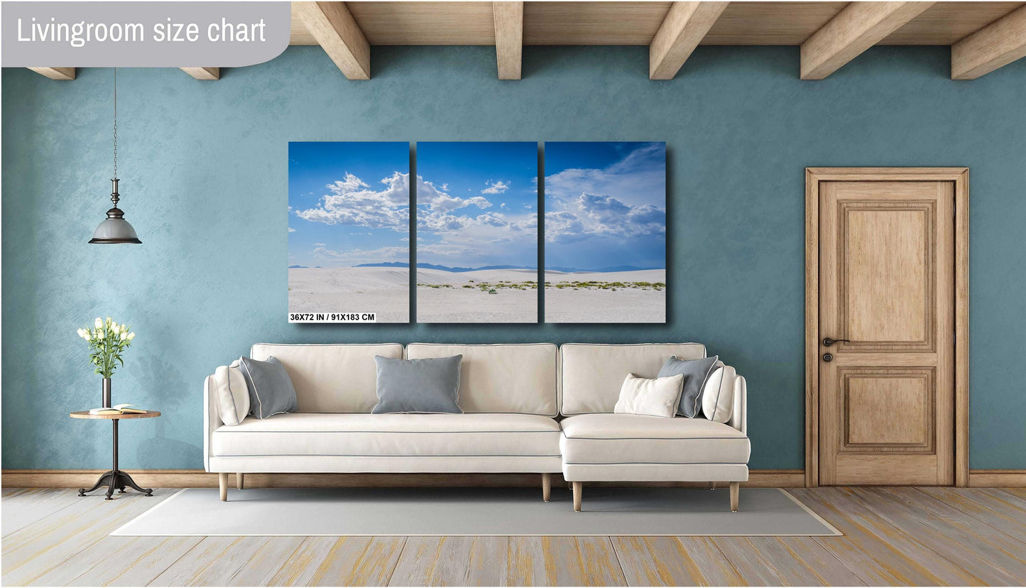 White Sands Serenity: Grass in the Shadows of White Sands National Park Wall Art Print Alamogordo, New Mexico Aluminum/Acrylic/Metal/Canvas