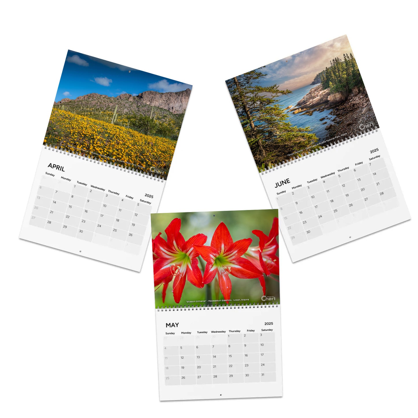 Images By Cheri - 2025 Calendar | Monthly Nature and Wildlife Photography