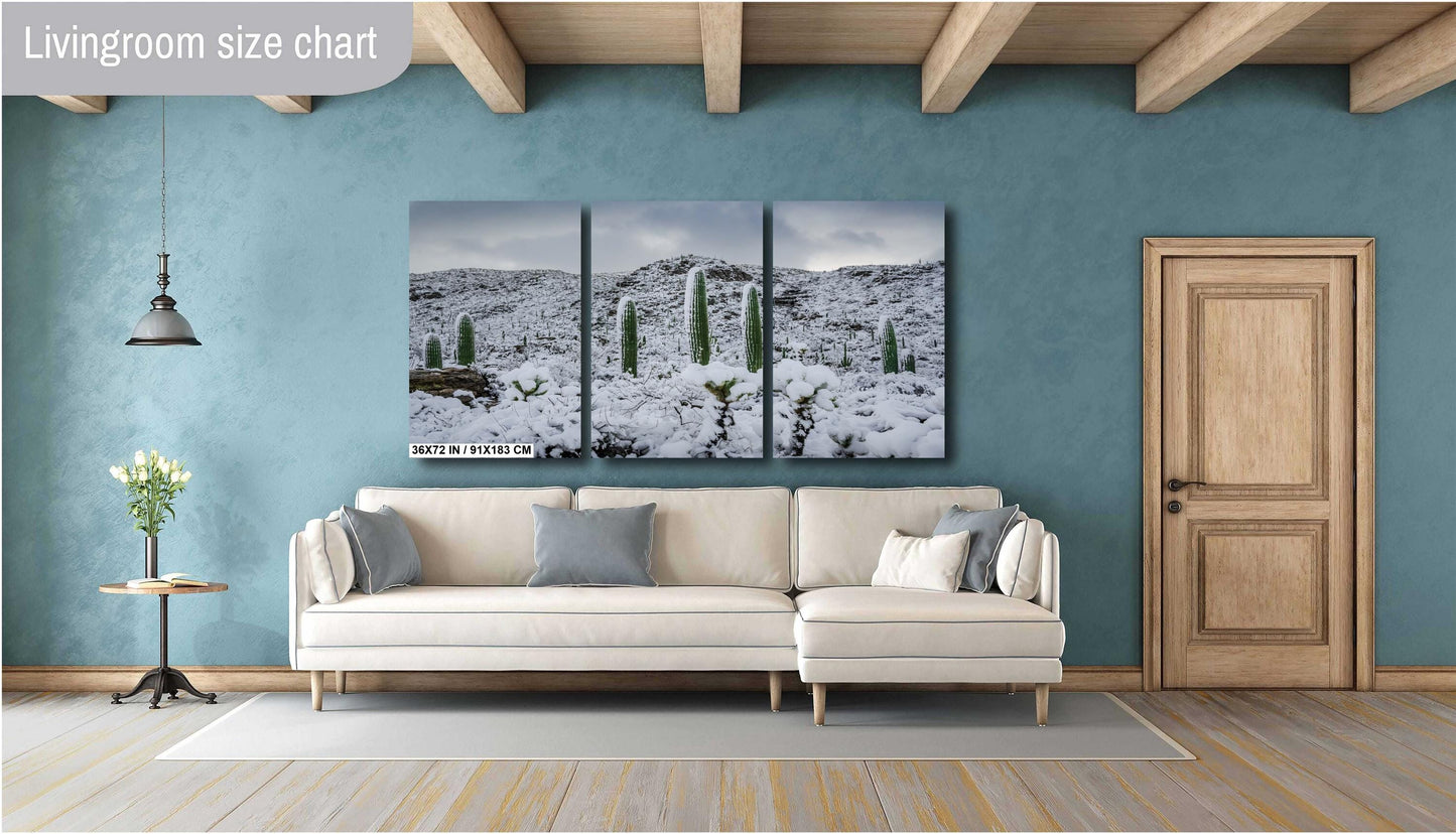 A Frosty Transformation in Saguaro National Park Print Wall Art Tucson Winter Snow Desert Photography Aluminum/Acrylic/Metal/Canvas