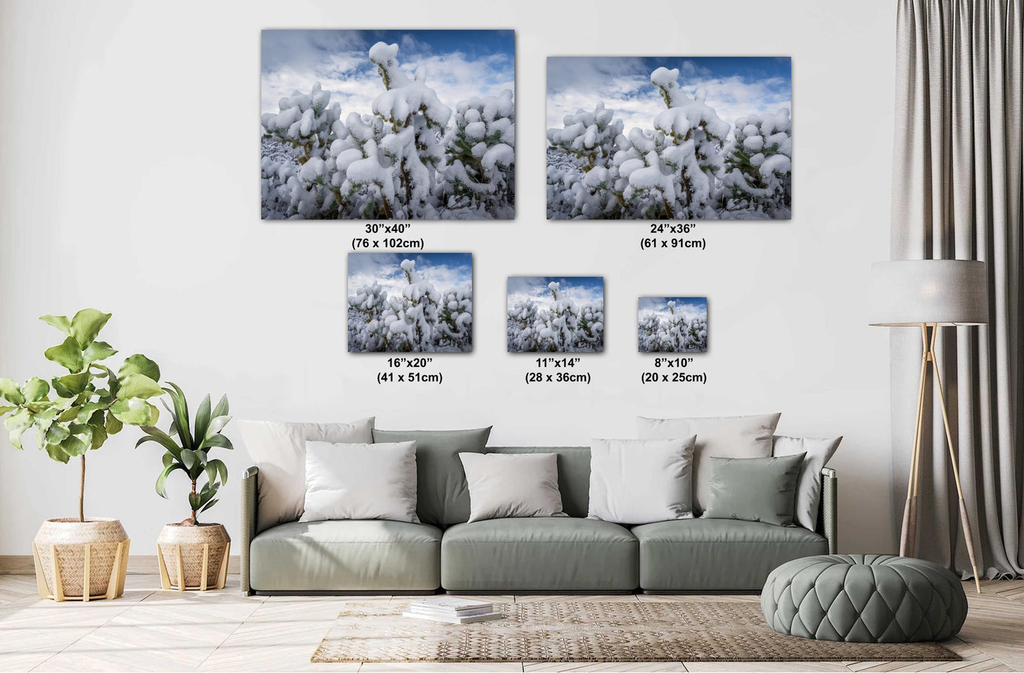 Snow Smothered Cactus Close-Up: Saguaro National Park Tucson Arizona Print Wall Art Photography Aluminum/Acrylic/Metal/Canvas