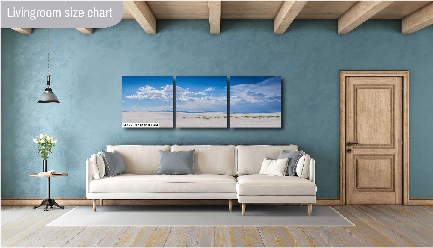 White Sands Serenity: Grass in the Shadows of White Sands National Park Wall Art Print Alamogordo, New Mexico Aluminum/Acrylic/Metal/Canvas