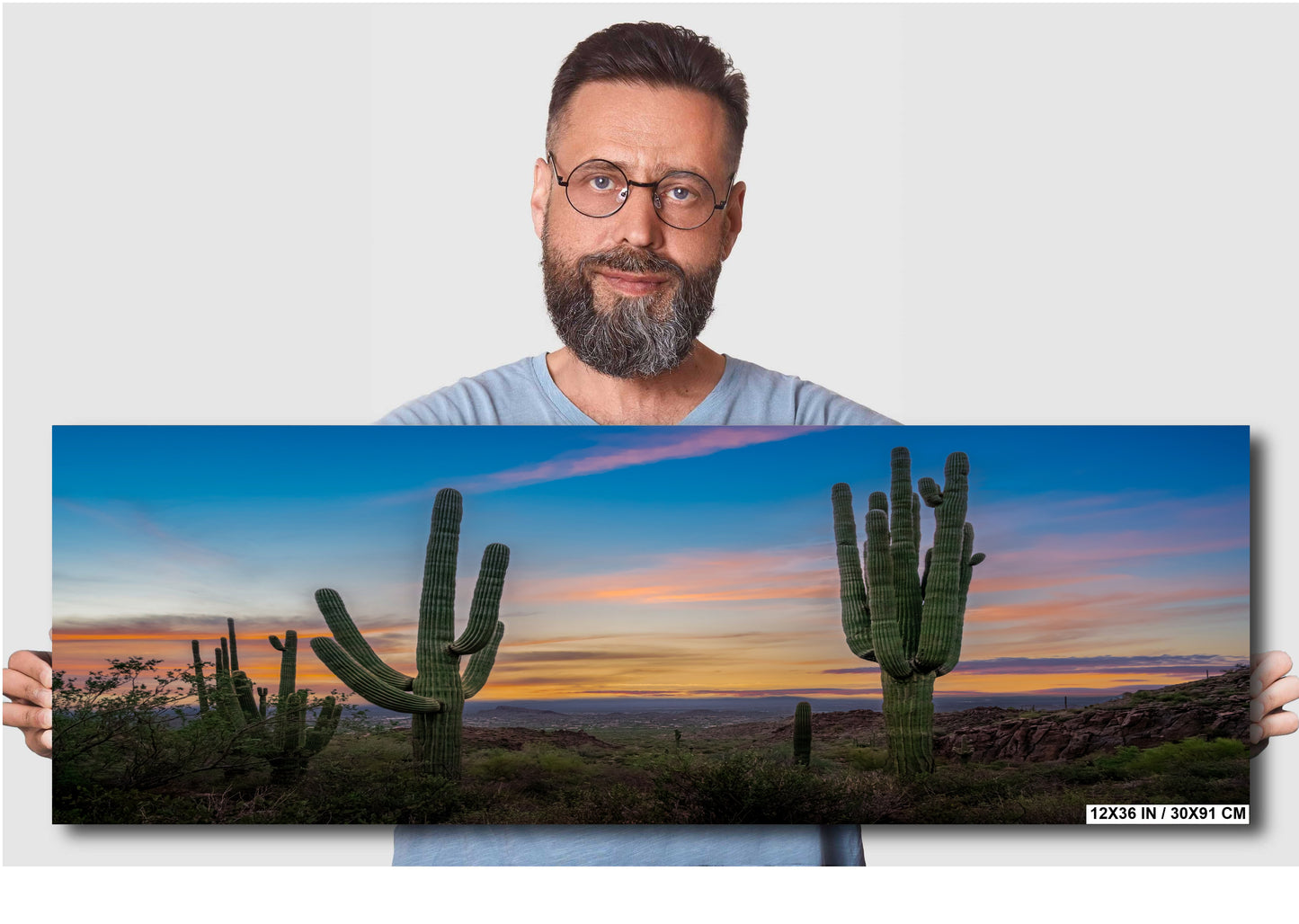 Gold Canyon Wonder: Saguaro Cactus Arizona Wall Art Metal Canvas Print  Desert Landscape Photography