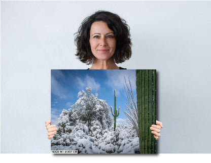 Dreaming of a White Desert Christmas: Saguaro National Park in Snow Tucson Arizona Print Wall Art Photography Aluminum/Acrylic/Metal/Canvas