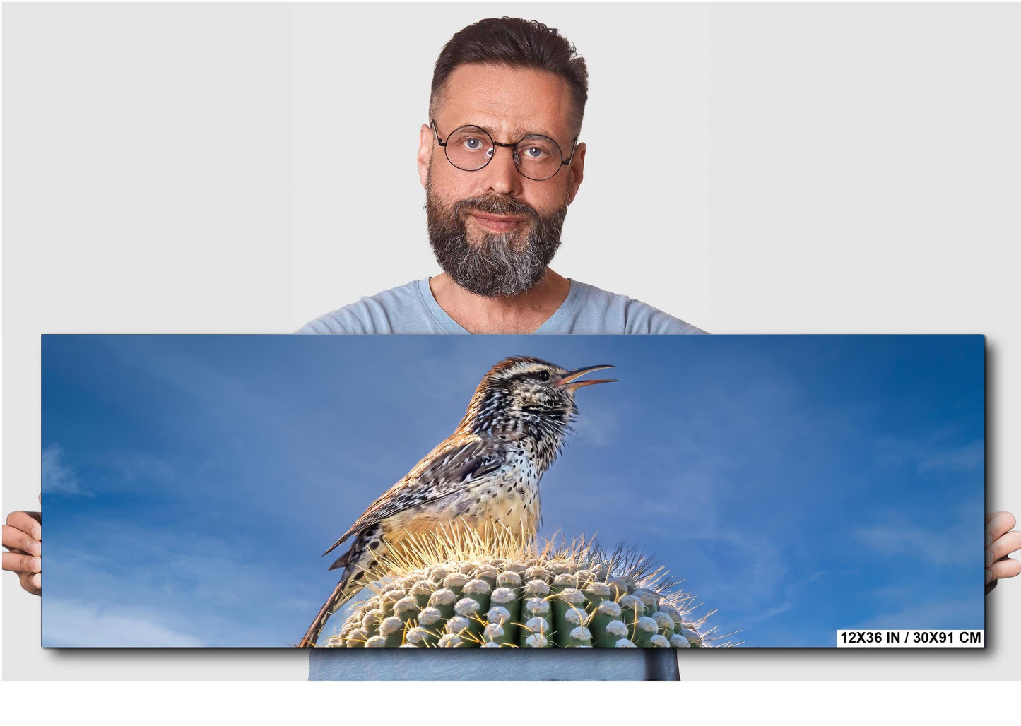 Cactus Wren on Saguaro Tucson Arizona Wildlife Nature Wall Art Photography Print, Sonoran Desert Bird Canvas Photo Blue Sky  Metal Decor