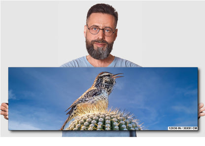 Cactus Wren on Saguaro Tucson Arizona Wildlife Nature Wall Art Photography Print, Sonoran Desert Bird Canvas Photo Blue Sky  Metal Decor