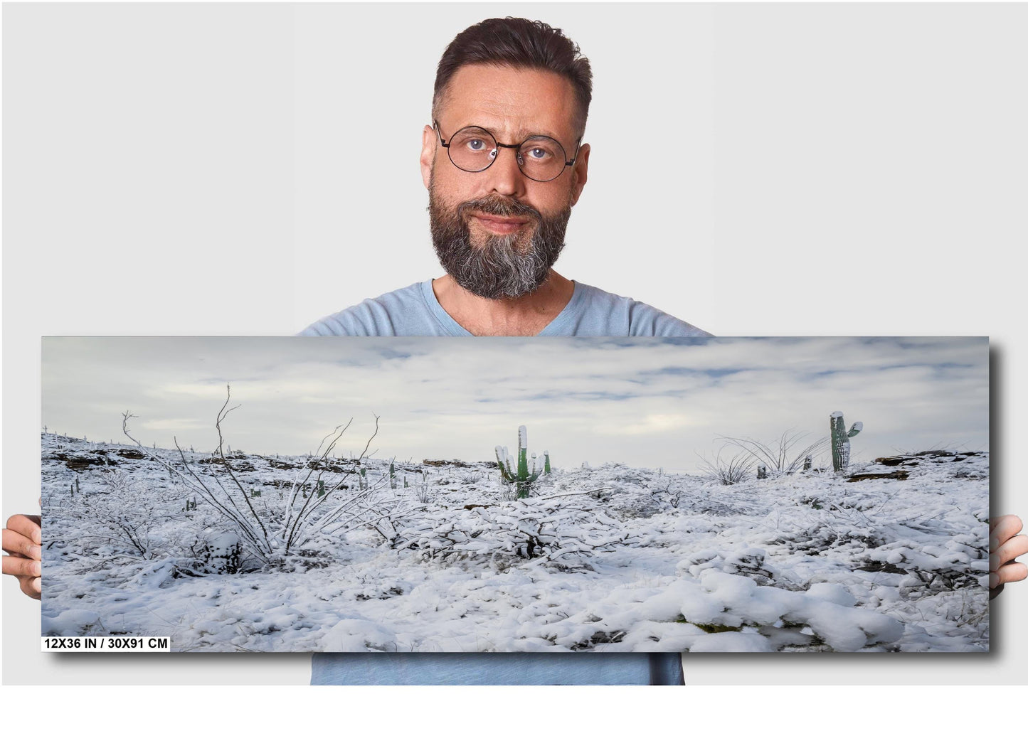 A Desert’s Frosted Moment: Saguaro National Park Print Wall Art Tucson Winter Snow Desert Photography Aluminum/Acrylic/Metal/Canvas