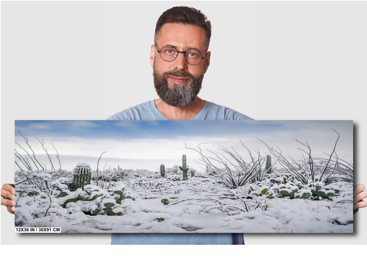 Snow-Tipped Peaks and Cactus Heights: Snow in Saguaro National Park Tucson Arizona Print Wall Art Photography Aluminum/Acrylic/Metal/Canvas