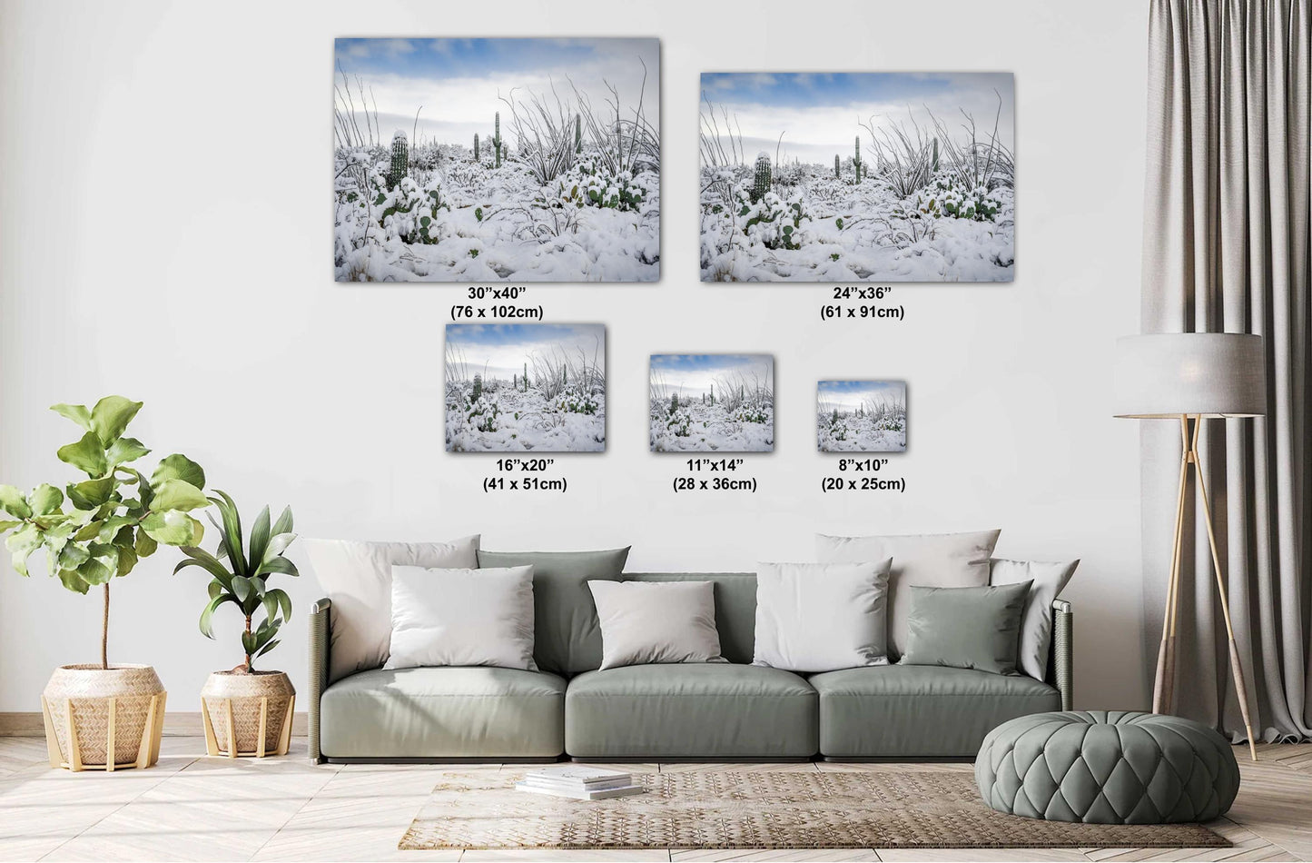 Snow-Tipped Peaks and Cactus Heights: Snow in Saguaro National Park Tucson Arizona Print Wall Art Photography Aluminum/Acrylic/Metal/Canvas