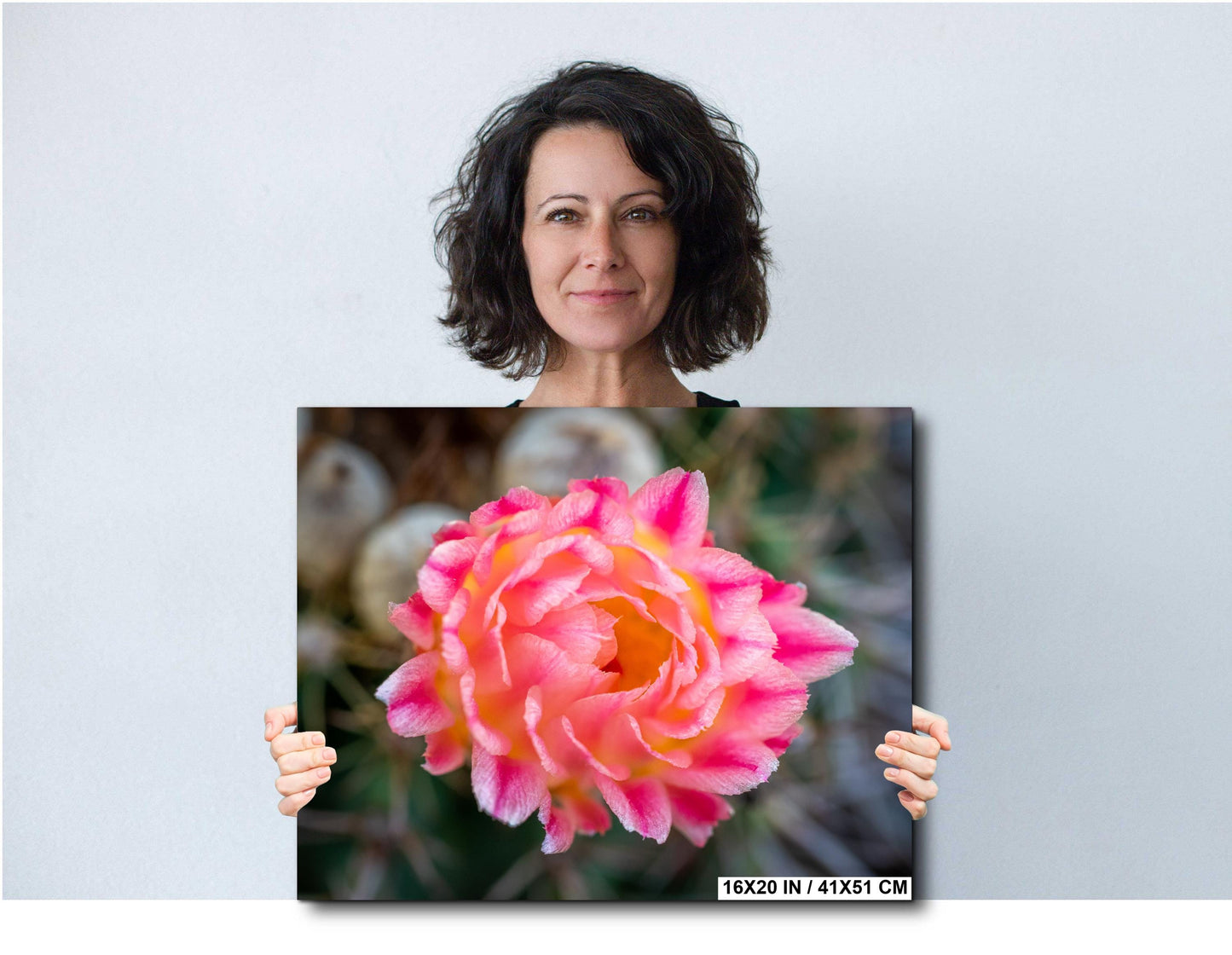 Cactus Flower Photography Print: Pink, Yellow Bloom, Desert Macro Wall Art