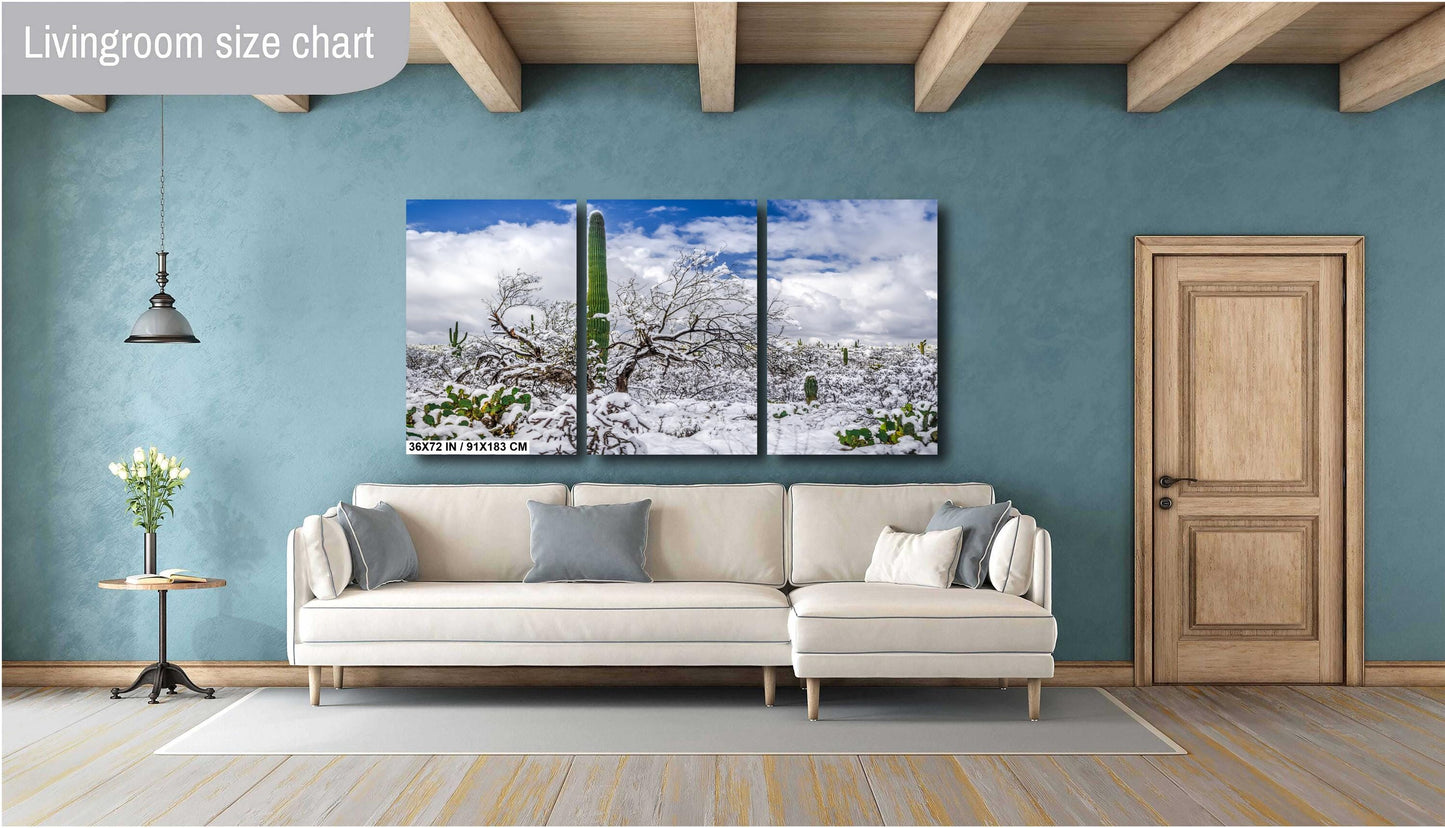 Saguaro Standing Tall in Winter’s Embrace: Saguaro National Park Print Wall Art Tucson Snow Desert Photography Aluminum/Acrylic/Metal/Canvas