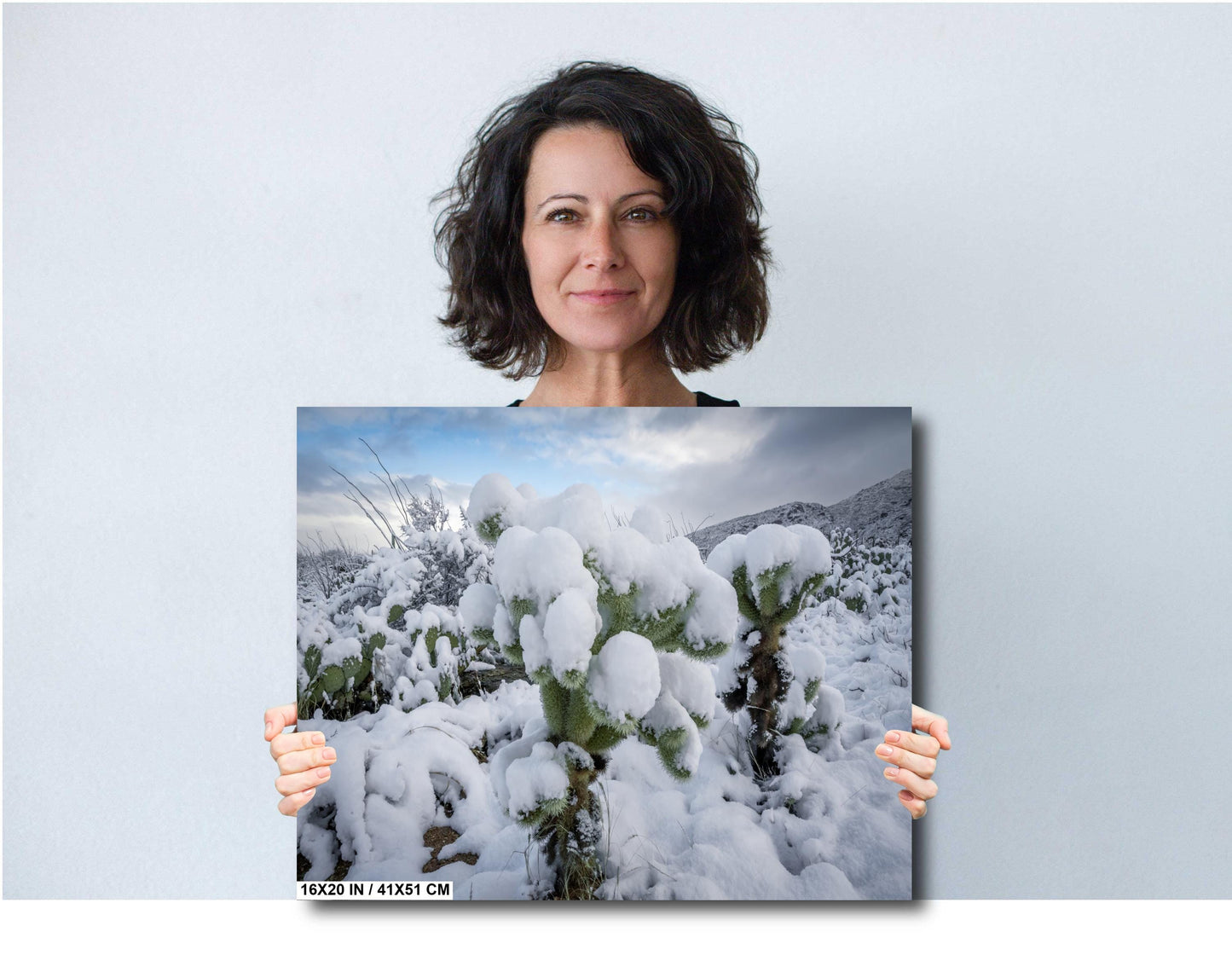 Cactus Wonderland: A Snowy Day in Arizona Saguaro National Park Tucson AZ Print Wall Art Photography Aluminum/Acrylic/Metal/Canvas