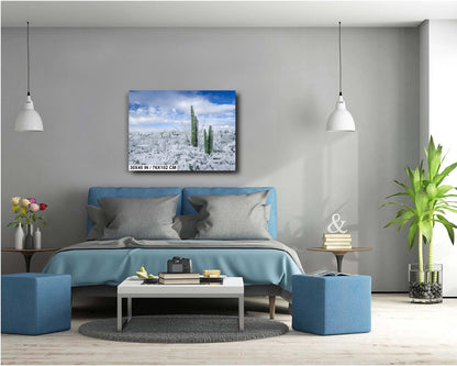 The White Desert: Snowfall in Saguaro National Park Tucson Arizona Print Wall Art Photography Aluminum/Acrylic/Metal/Canvas