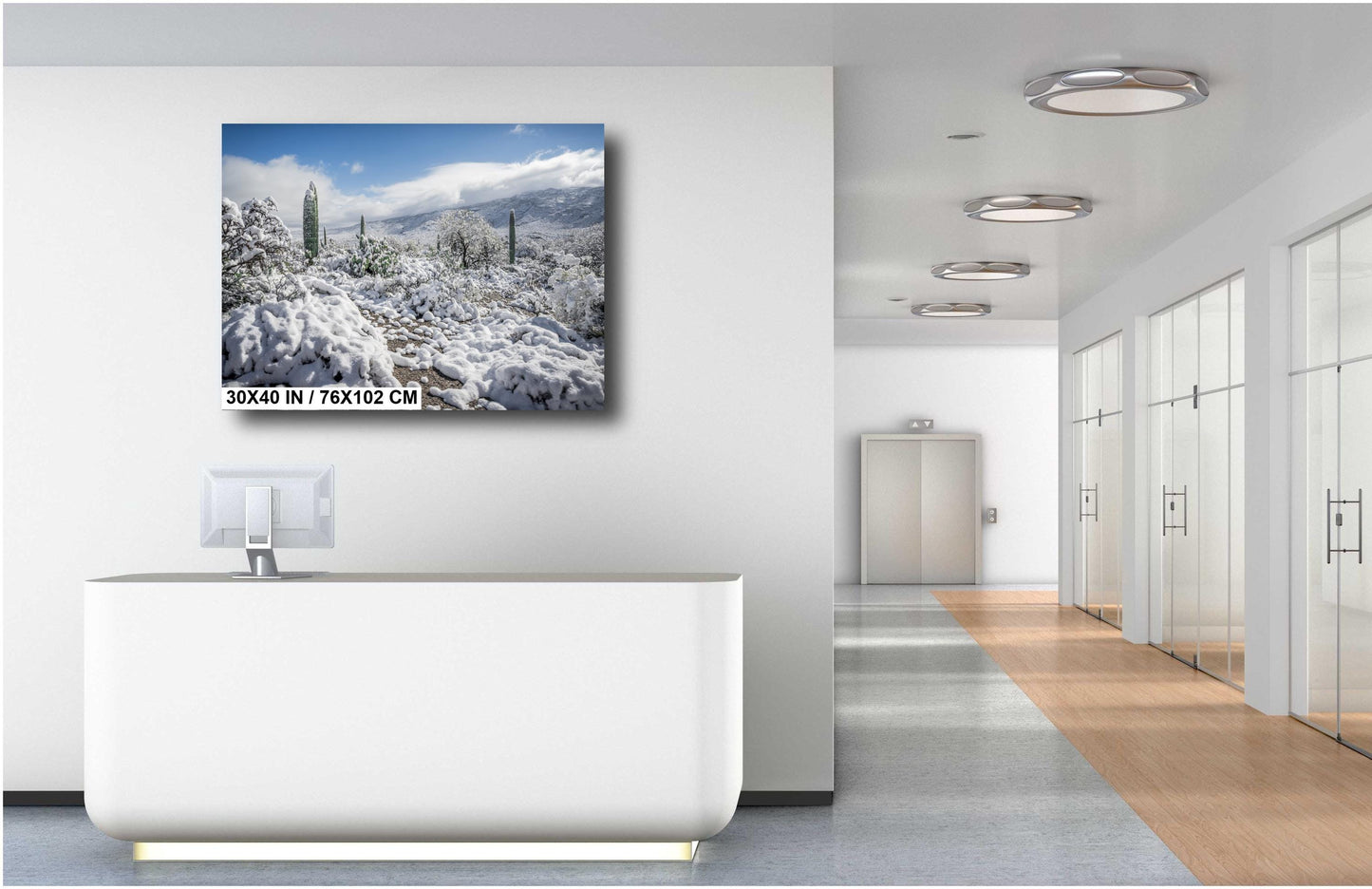 Winter Cloak Over the Saguaro National Park Print Wall Art Tucson Winter Snow Desert Photography Aluminum/Acrylic/Metal/Canvas Home Decor