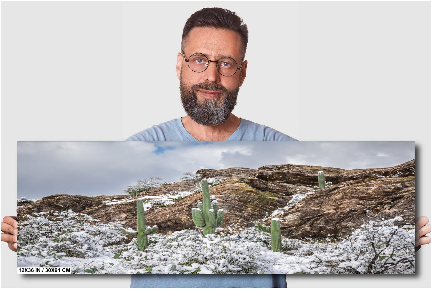 Winter’s Trio: Saguaros in Snow National Park Winter in Tucson Arizona Print Wall Art Photography Aluminum/Acrylic/Metal/Canvas