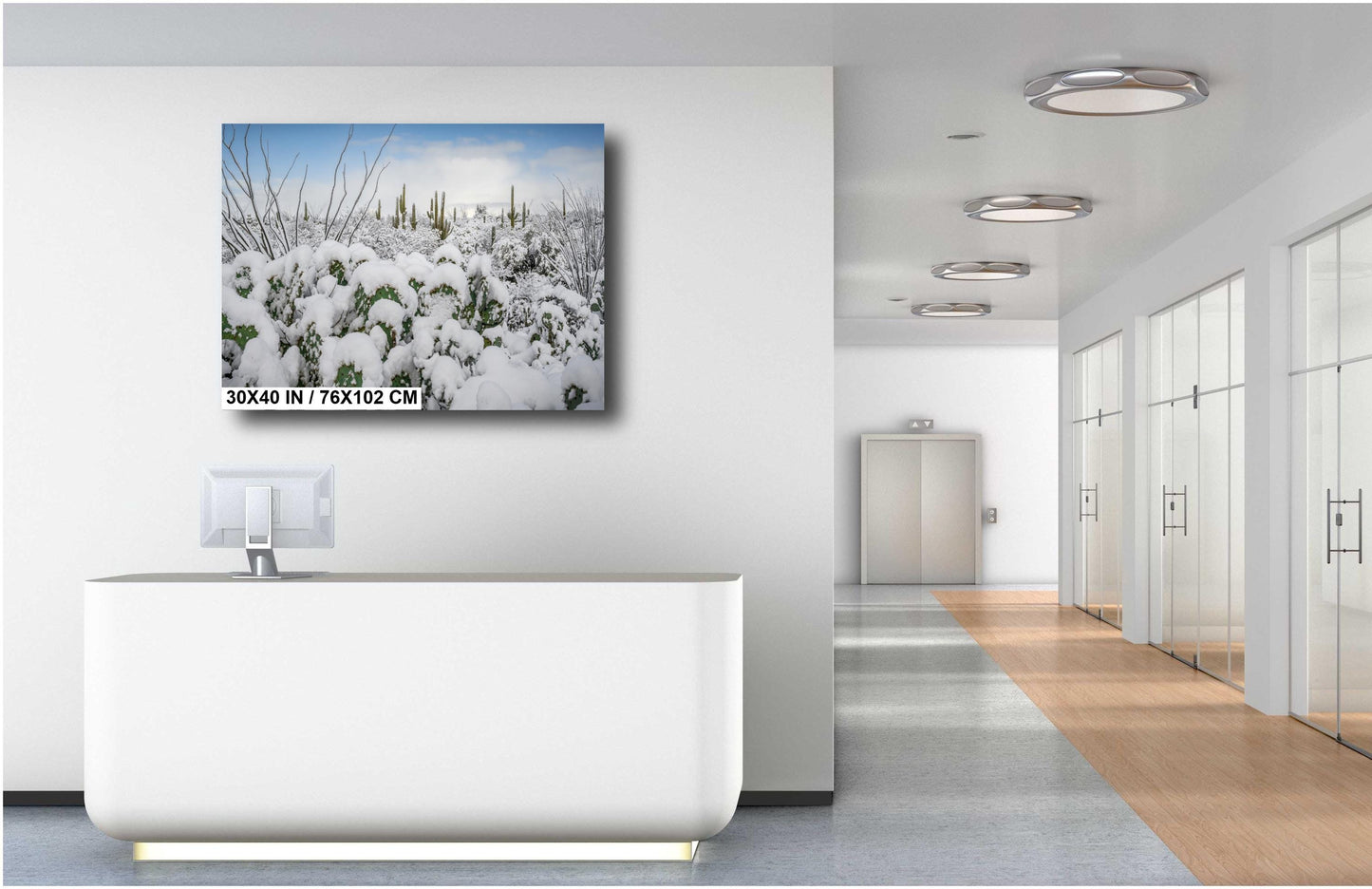 Prickly Pear Cacti in the Cold: Snowfall at Saguaro National Park Print Wall Art Tucson Winter Snow Desert Aluminum/Acrylic/Metal/Canvas